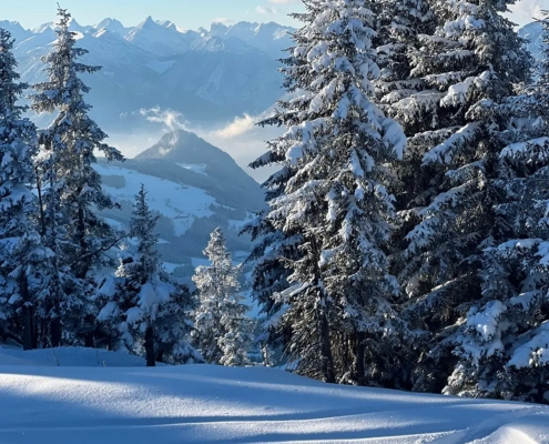 Jugendskifahrt_2026_17